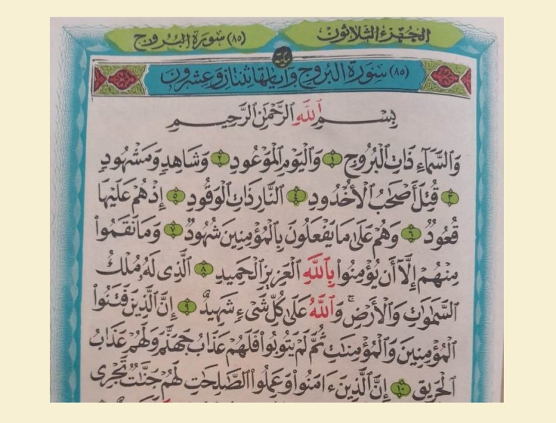 Yigitlar mushuklar va kokraklarni yalaydilar