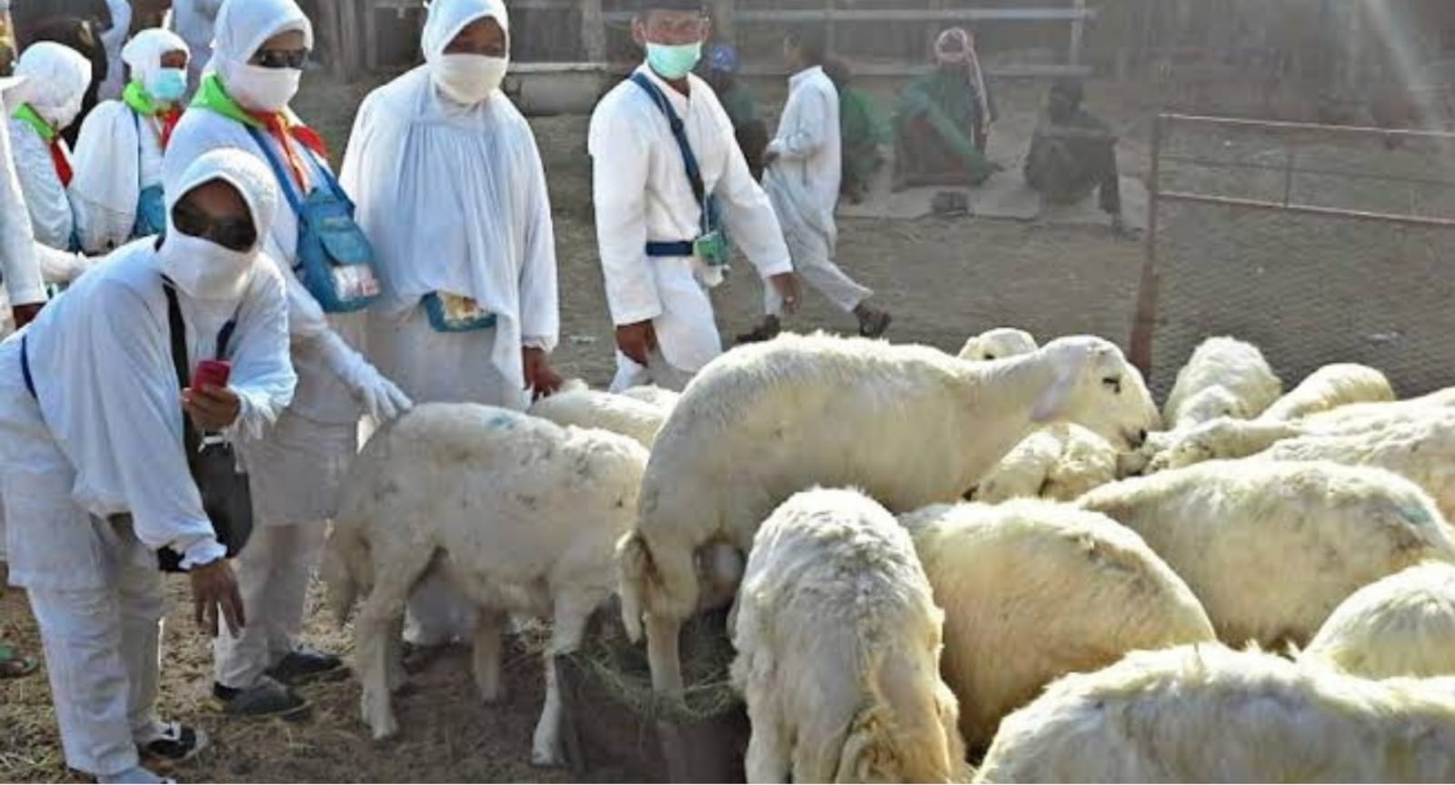 Fatwa Darul Ifta’ Mesir: Dam Haji Tak Harus di Makkah