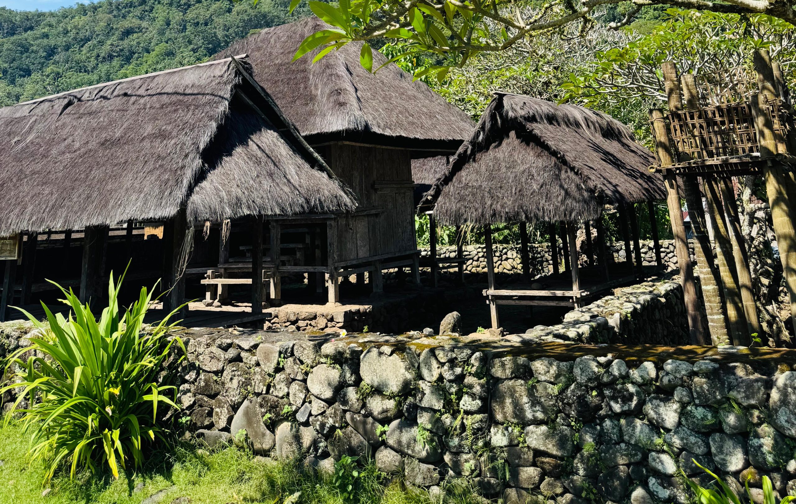 Jelajahi Tenganan Pegringsingan, temukan kedamaian dalam tradisi kuno Desa Bali Aga. Saksikan Perang Pandan, kagumi kain Gringsing, dan selami kearifan warisan pra-Majapahit.