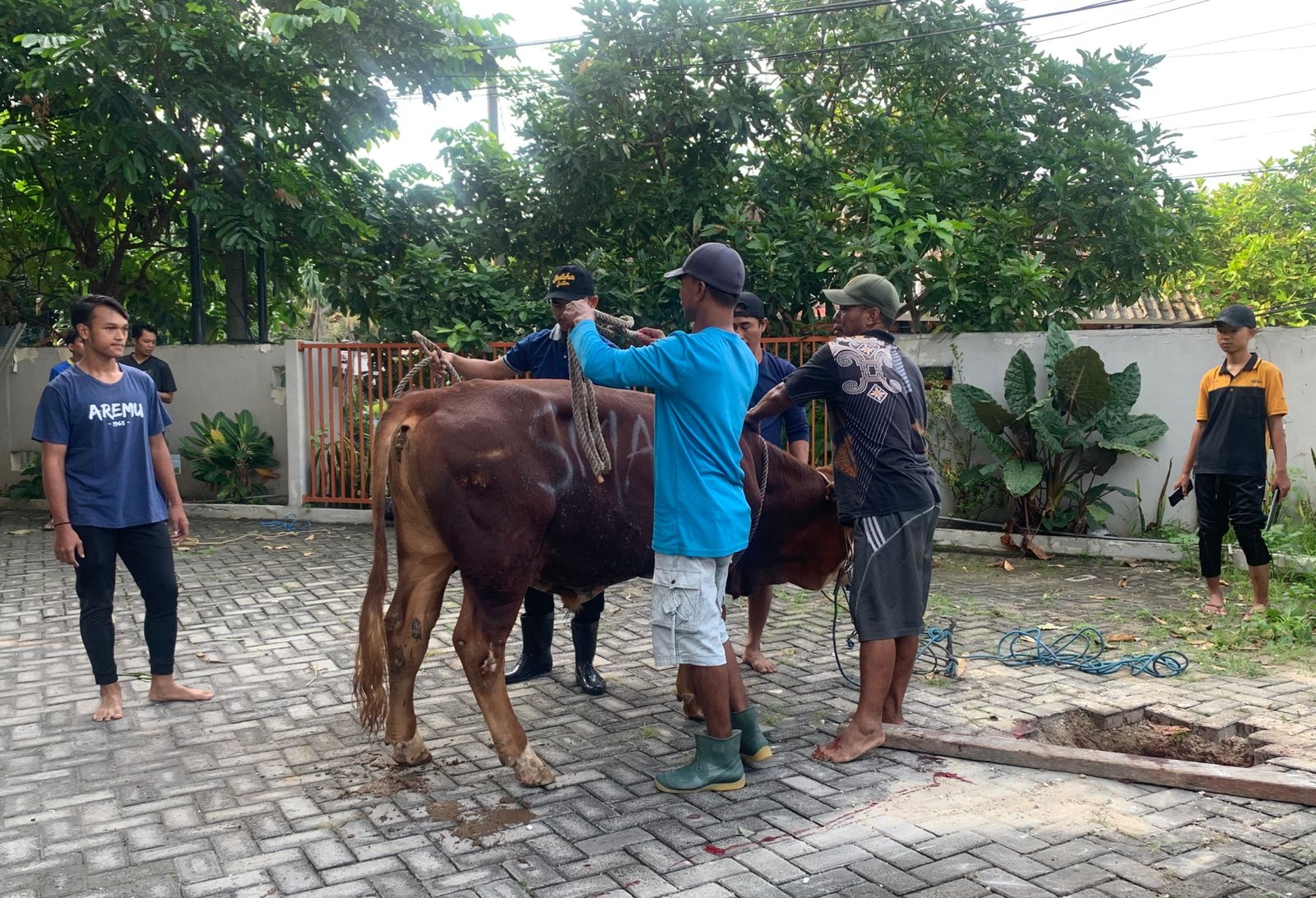 Tasyrik Hari Kedua, Kurban Jadi Sarana Edukasi dan Kepedulian di Smamsatu