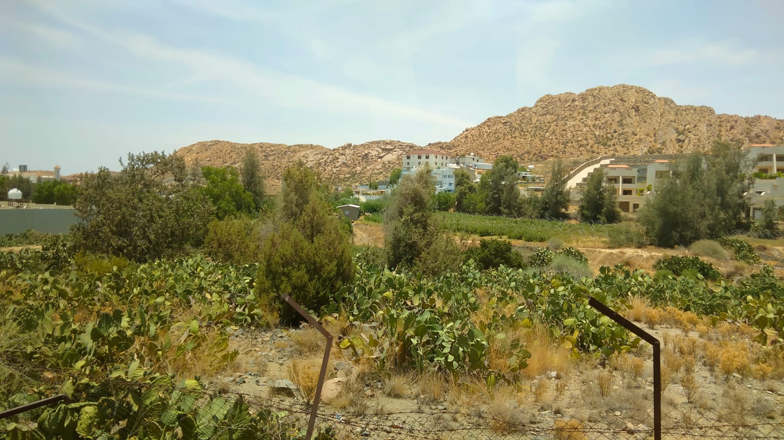 Sehari di Taif: Merasakan Sejuknya Kota Bunga hingga Berziarah ke Makam Abdullah ibn Abbas