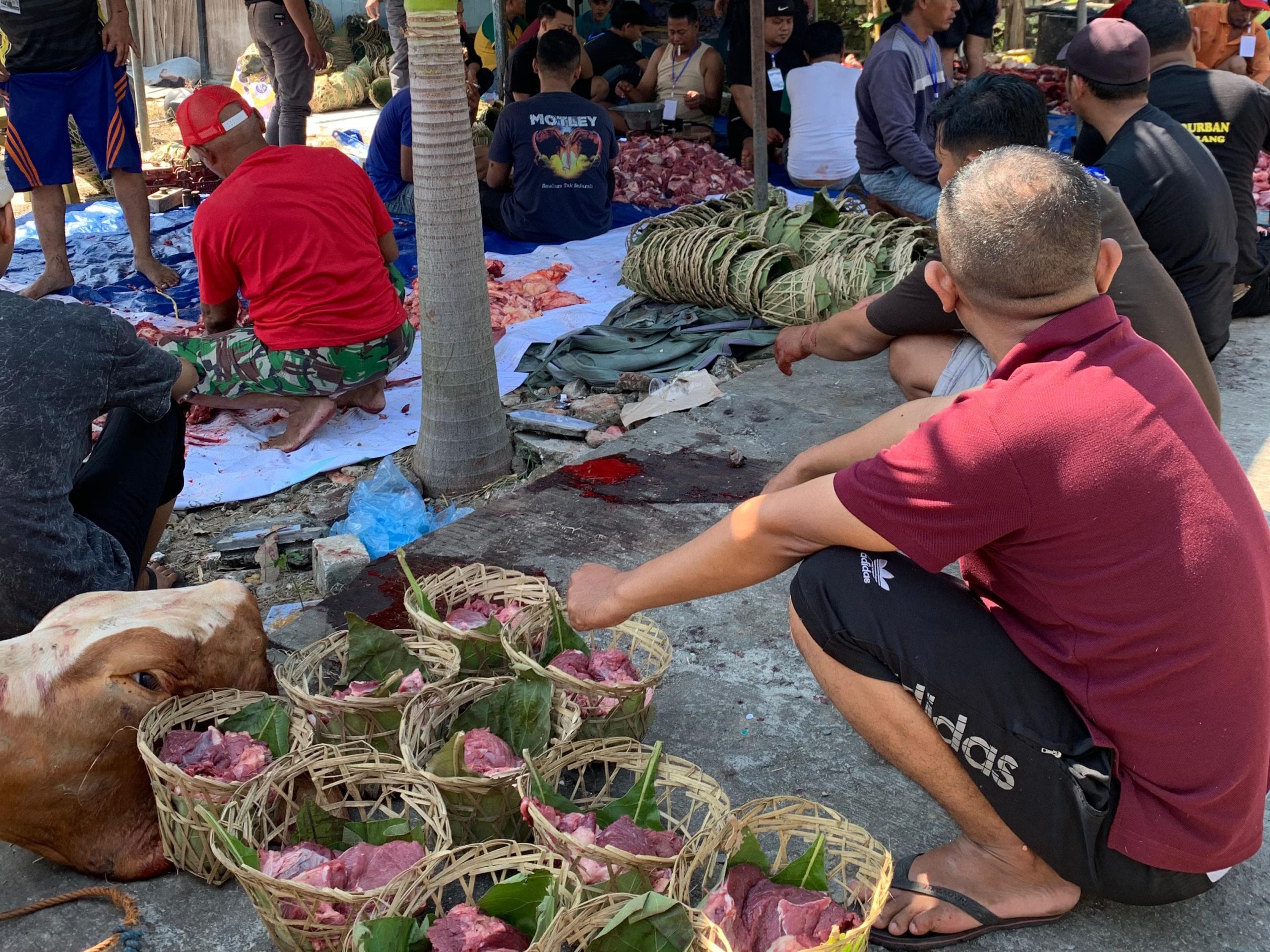 AMM Gresik inisiatif selenggarakan kurban ramah lingkungan dengan besek dan daun jati. Meski sempat hadapi tantangan, AMM kukuh wujudkan "Kurban Hijau" untuk kurangi sampah plastik.