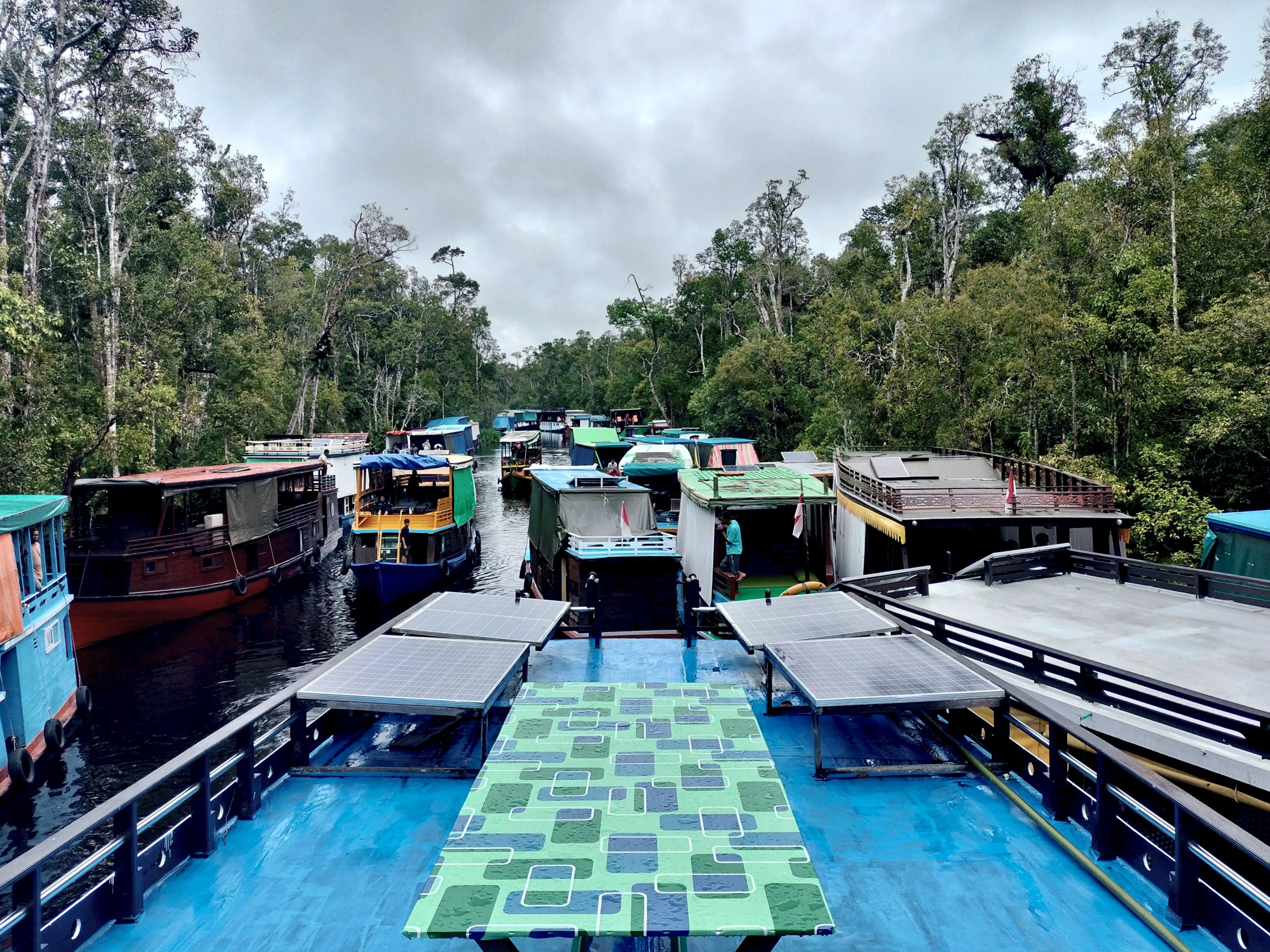 Di bawah langit kelabu, rombongan wisatawan memulai petualangan hari kedua di Sungai Sekonyer Taman Nasional Tanjung Puting. Saat hujan deras berakhir, mereka siap bertemu orang utan alpha male Silent yang malu-malu tapi karismatik.