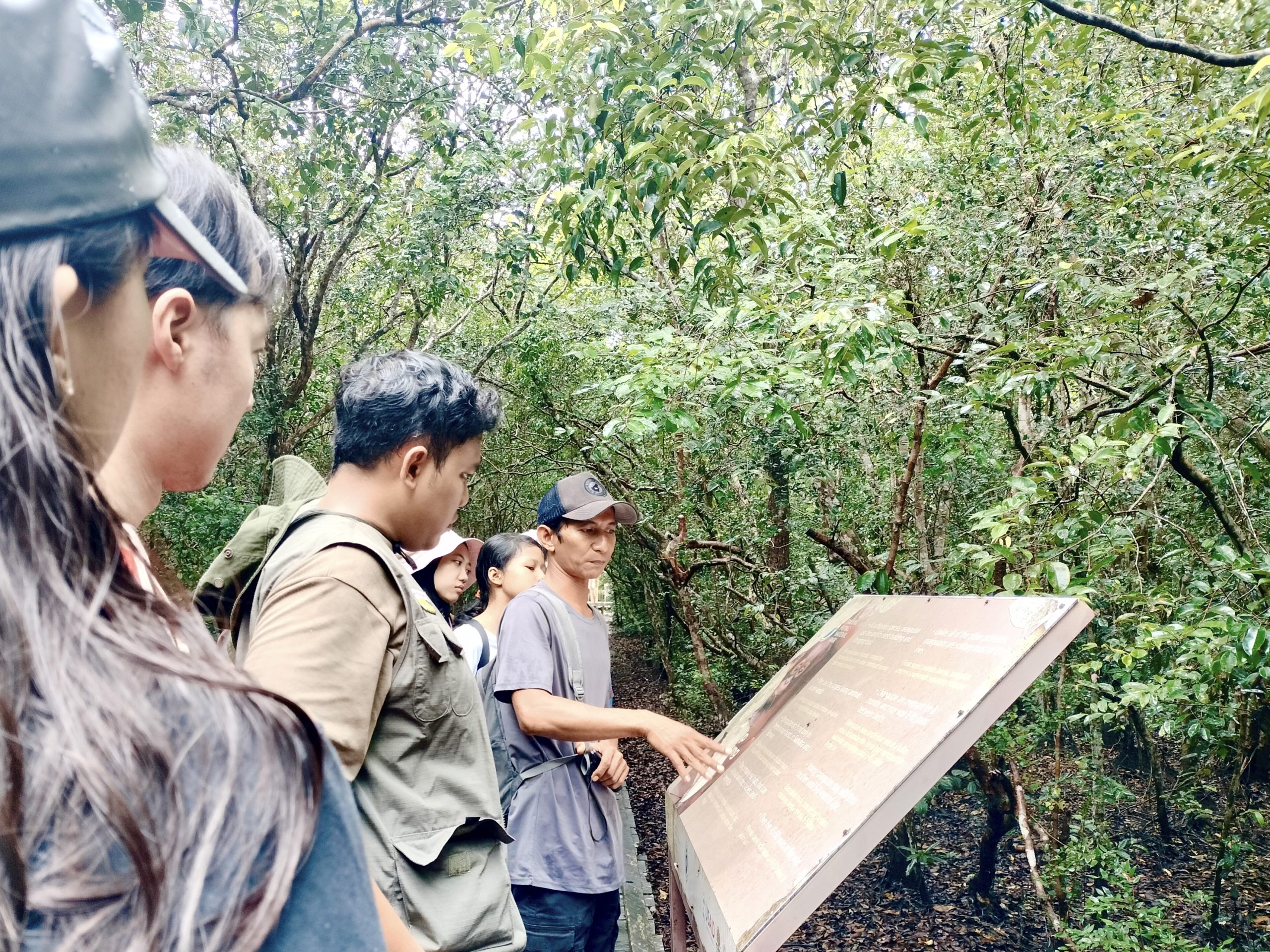Di bawah langit kelabu, rombongan wisatawan memulai petualangan hari kedua di Sungai Sekonyer Taman Nasional Tanjung Puting. Saat hujan deras berakhir, mereka siap bertemu orang utan alpha male Silent yang malu-malu tapi karismatik.