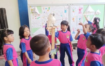 Mini Zoo dan outbound SD Mugres menjadi jembatan belajar TK Kusuma Bangsa Gresik. Siswa-siswi TK ini juga bermain di taman pasir dengan berbagai cetakan berbentuk hewan