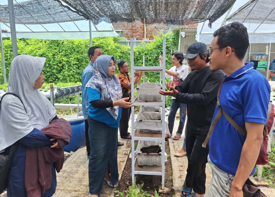 Budidaya Cacing Modal Murah, Untungnya Meriah