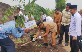 Penanaman pohon matoa berlangsung di SPEAM (Sekolah Pesantren Entrepreneur Al-Maun Muhammadiyah) Putri Kota Pasuruan