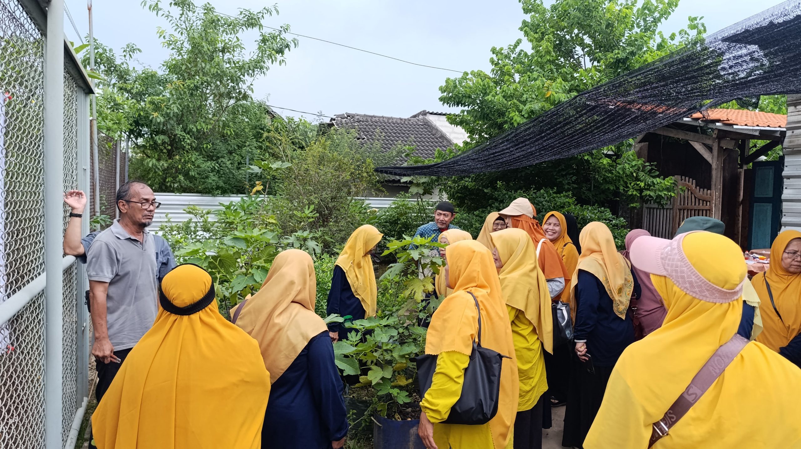 Lansia Tetap Produktif: Lazismu Sidoarjo Ajak Berkebun Buah Tin