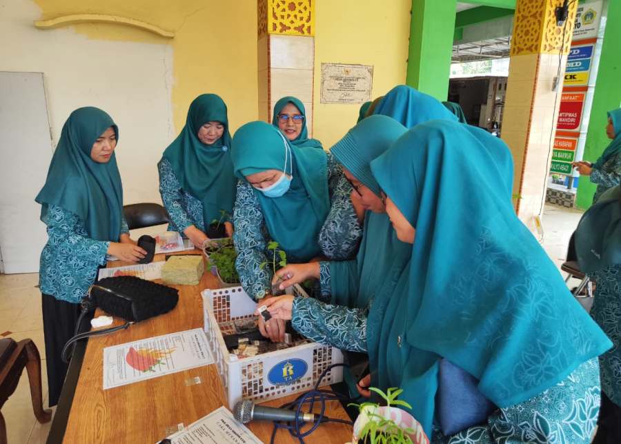 Gerakan hijau di Desa Sidomulyo, Kecamatan Sidayu, Gresik, dengan menanam cabai dan sayuran mulai berlangsung Jumat (28/11/2025).