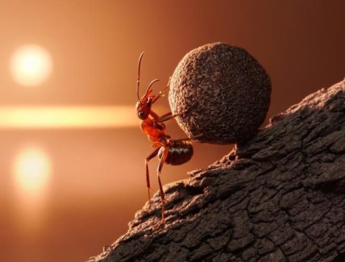 Gagal sebagai kesempatan belajar dan berkembang. Inilah pandangan growth mindset yang membuat seseorang lebih terbuka terhadap kritik, lebih gigih, dan berani menghadapi kesulitan.