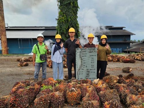Program CoE UMM Dorong Mahasiswa Siap Kerja di Industri Sawit