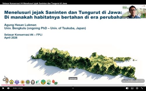 Forum Pohon Langka Indonesia mengungkap pergeseran habitat dua spesies penting hutan tropis yang kini bertahan di kawasan pegunungan.